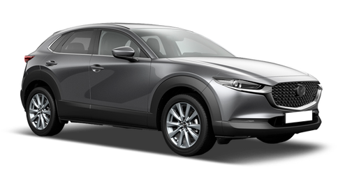 Mazda СX-30 Machine Gray Metallic